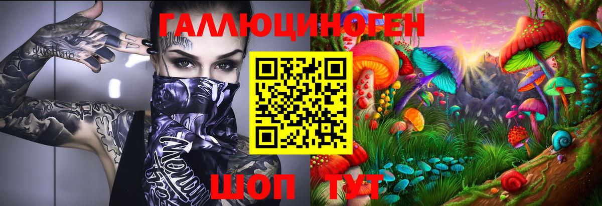 Саяногорск  Псилоцибиновые грибы прущие грибы  Вход с VPN 