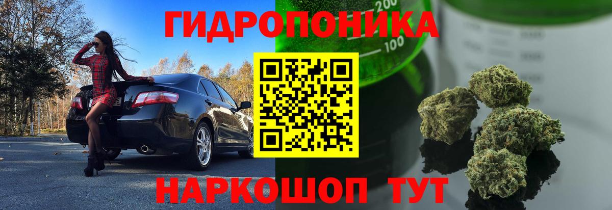 Шишки марихуана гибрид Саяногорск