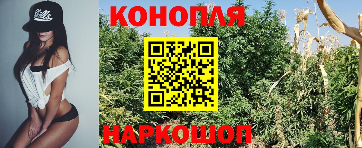 Бошки марихуана план  Шишки марихуана THC 21%  Вход с VPN  Саяногорск  Канабис марихуана 